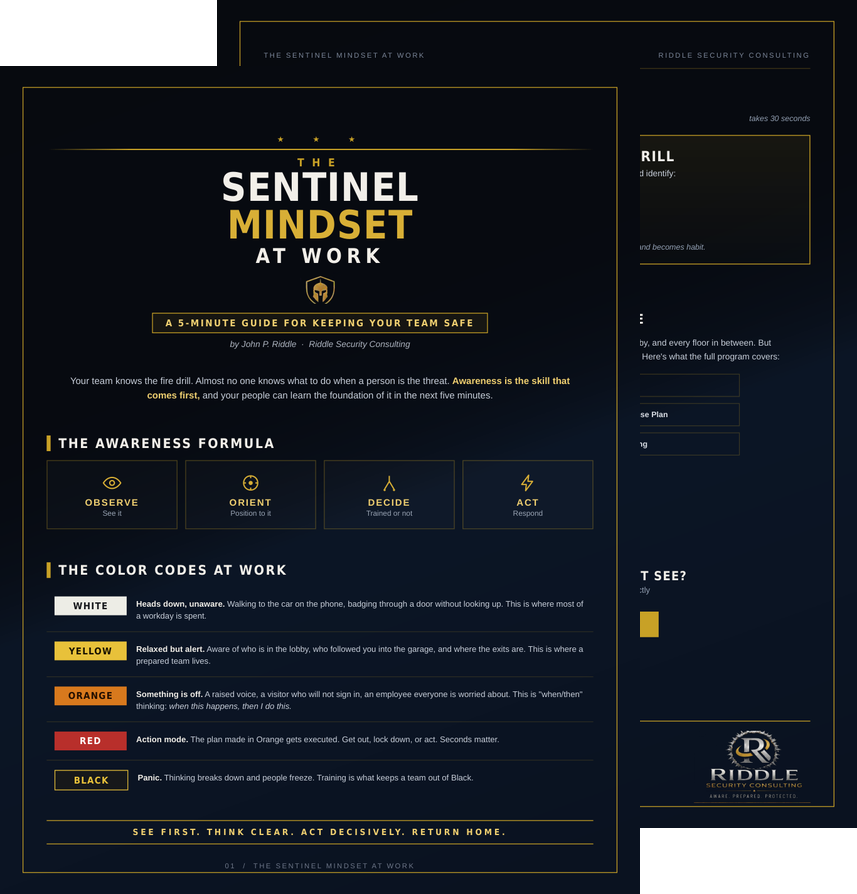 The Sentinel Mindset at Work